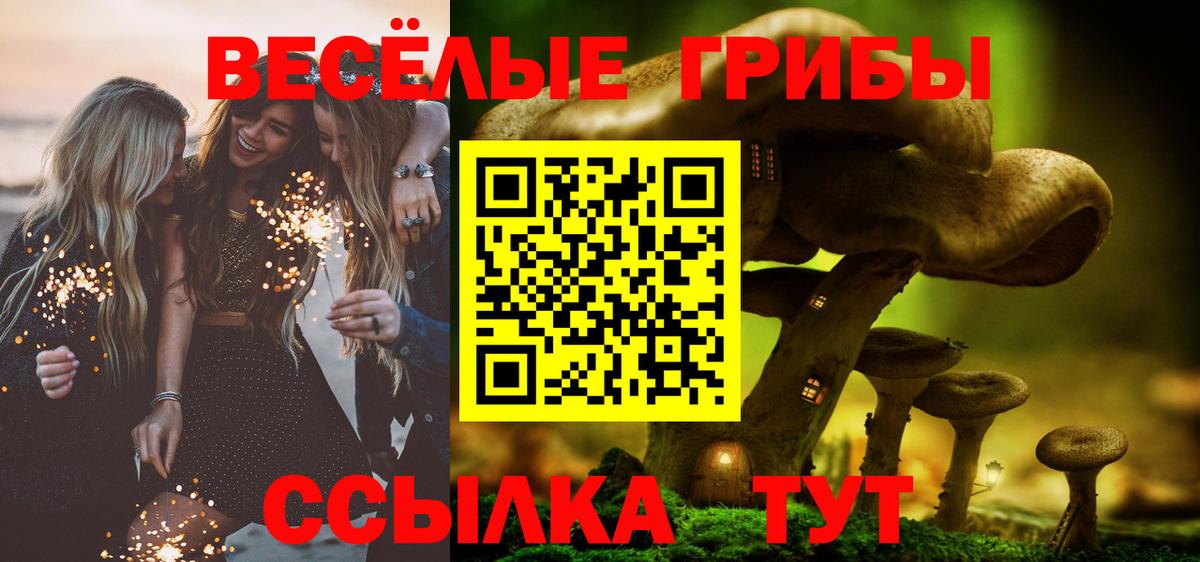 Псилоцибиновые грибы GOLDEN TEACHER Белорецк