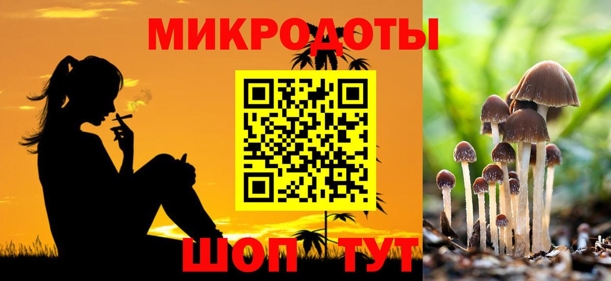 Галлюциногенные грибы Psilocybine cubensis  Вход с VPN  Белорецк  Псилоцибиновые грибы GOLDEN TEACHER 